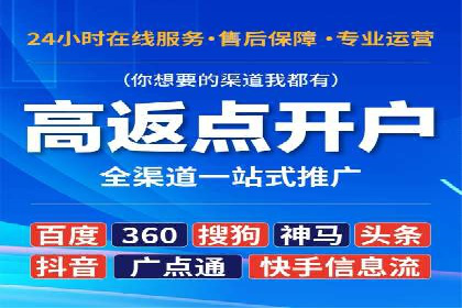 案例解读：网络推广与竞价策略